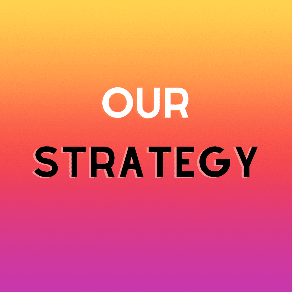 Our Strategy